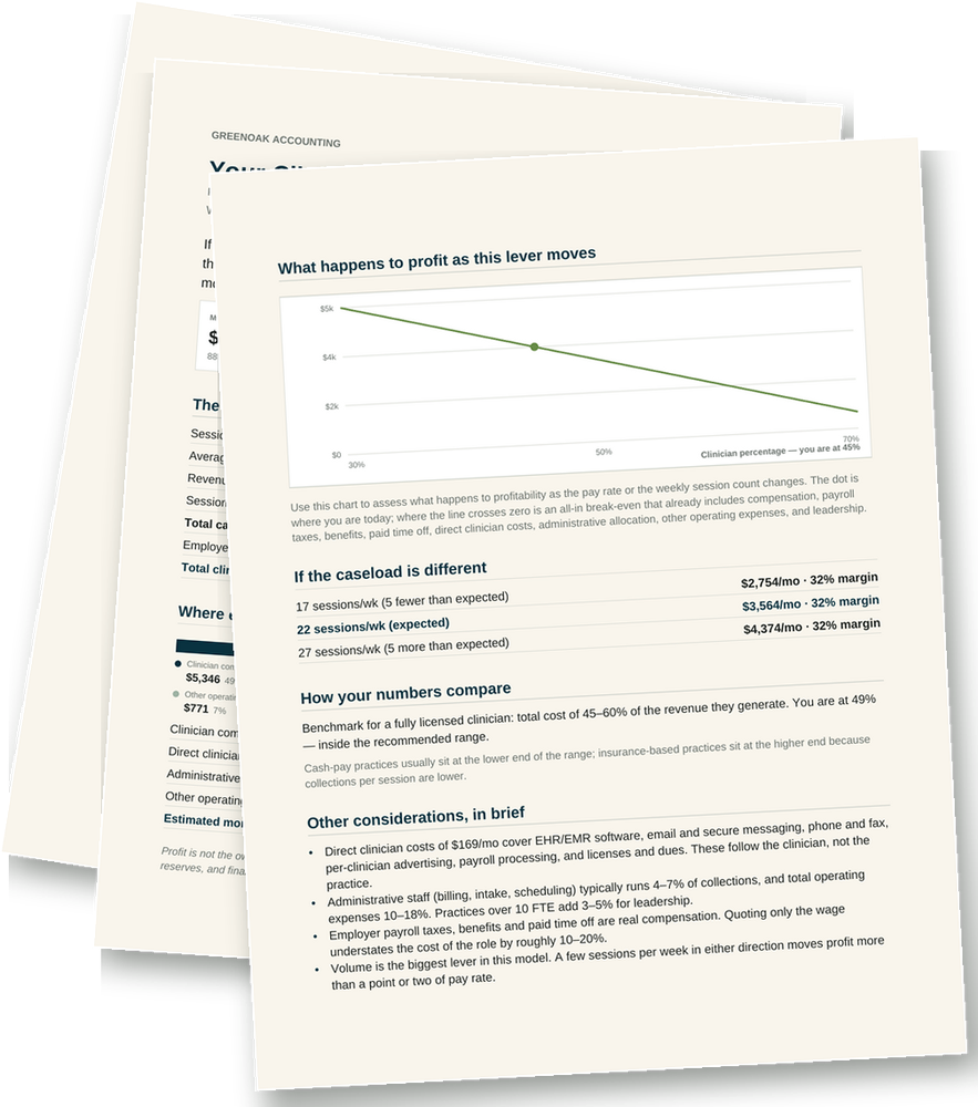 Preview of the multi-page owner report: cost breakdown, profit chart, caseload scenarios and benchmarks